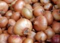 onions 1397037 1280
