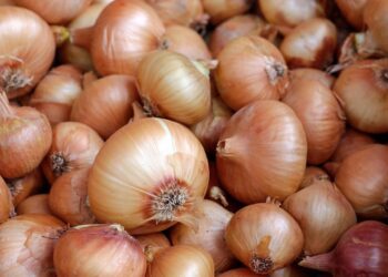 onions 1397037 1280