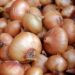 onions 1397037 1280