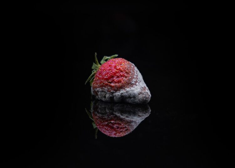 strawberry 8027947 1280