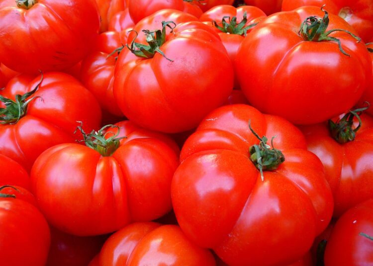 tomatoes 5356 1280