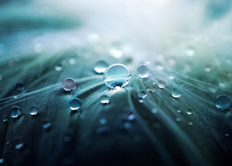 water droplets 955929 1280