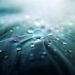 water droplets 955929 1280