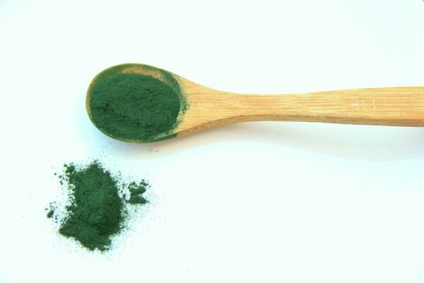 spirulina spirulina 1829080 1280