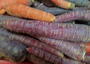 carrots 2289463 1280