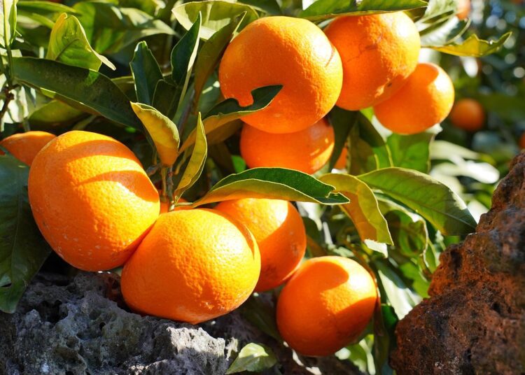 jeju island 6889156 1280