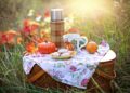 autumn 4579561 1280
