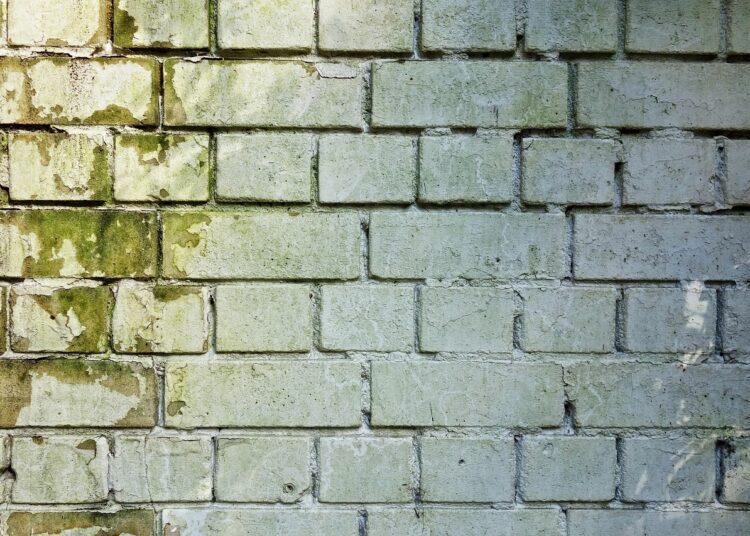 brick wall 3194516 1280