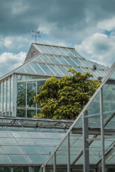 greenhouse 2563991 1280