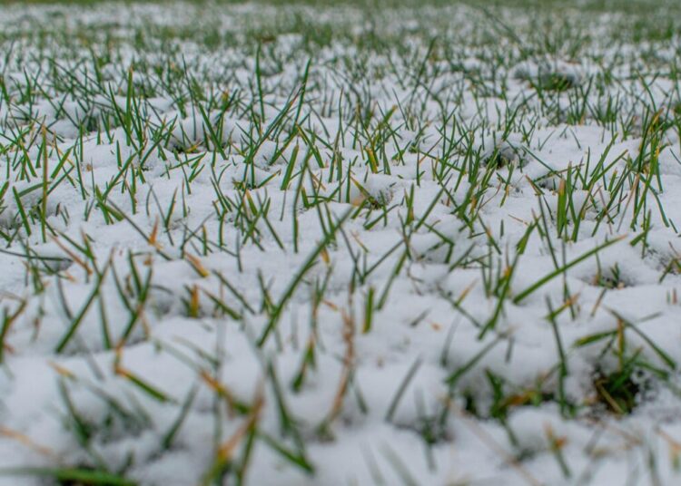 first snow 4727346 1280