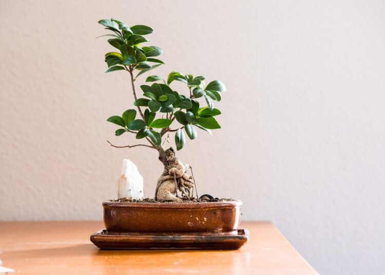 living room 8254772 1280