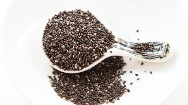 semena chiaseed 3986385 1280