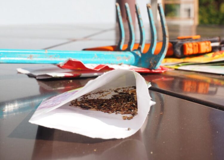 gardening 1117866 1280