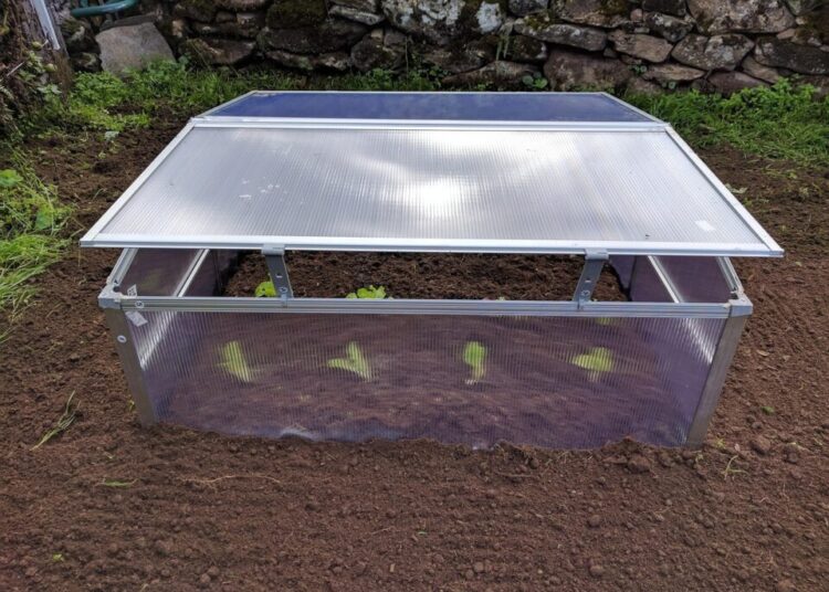mini greenhouse 1767505 1280
