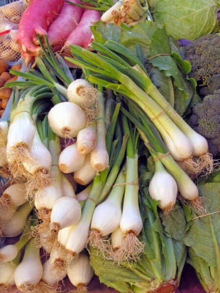 vegetables 557263 1280
