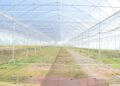 1098200726k greenhouse 5097830 1280