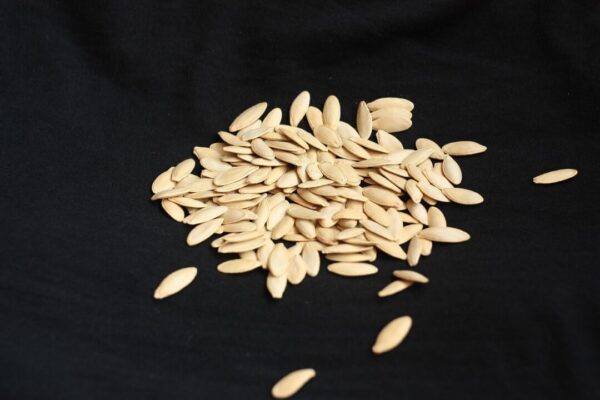 1167985 spores 1675147 1280