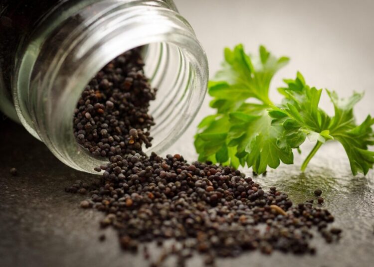 clickerhappy poppy 726267 1280