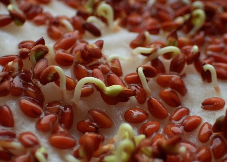 food 3040891 1280