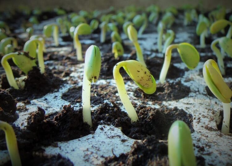 jcesar2015 floors 1331667 1280