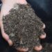 jennyjohansson mulch 4827133 1280