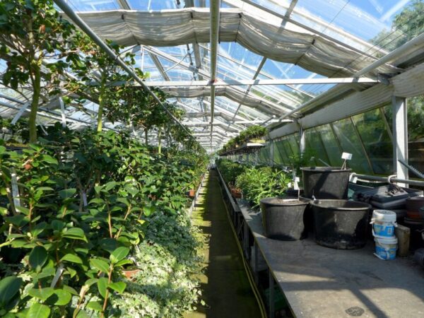 skleník petrafaltermaier greenhouse 2499758 1280