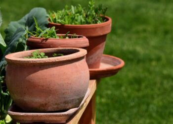 ulleo garden 3451740 1280