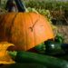 ulleo pumpkin 1666460 1280