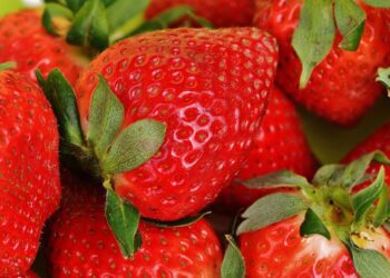 alexas fotos strawberries 1303374 1280