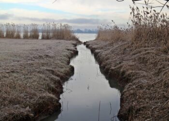 antranias frost 247995 1280