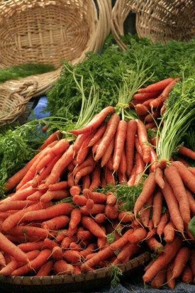 mrkev autumnevening carrots 4922948 1280