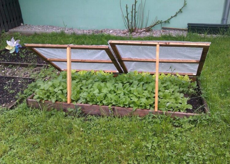 bernadette cold frame 167043 1280