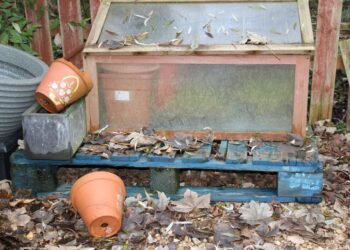 bluebudgie gardening 4628543 1280