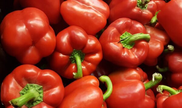 brett hondow bell peppers 1386467 1280