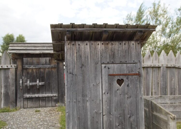 efraimstochter toilet 1588575 1280
