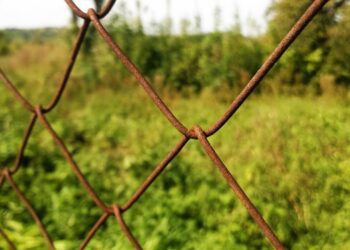 flegmatik95 plot 783237 1280