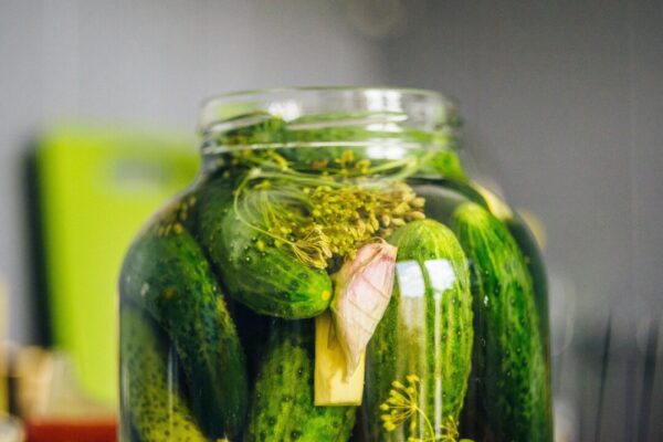 okurky kasjanf pickled cucumbers 4403298 1280