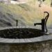 lekies pump 409695 1280