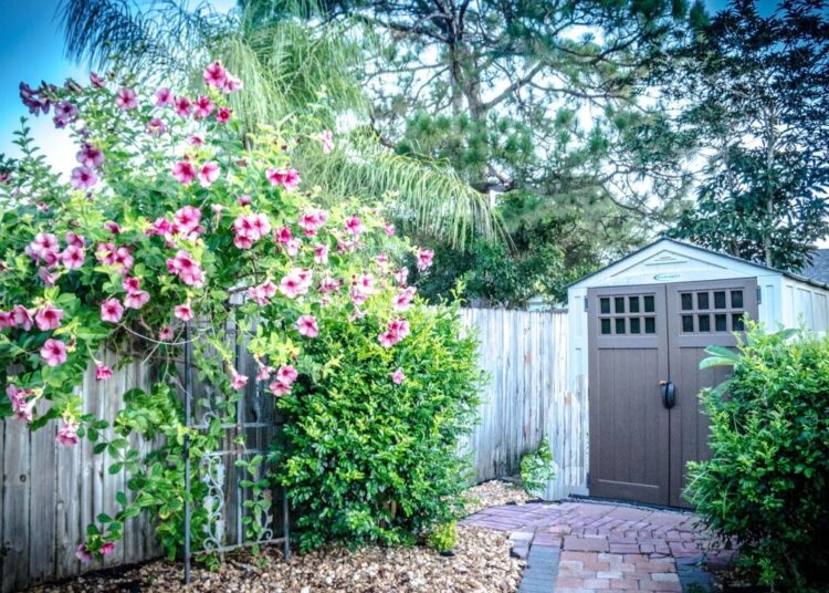 michelle pitzel shed 418570 1280