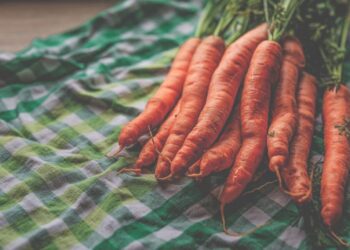 monicore carrot 4447069 1280