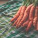 monicore carrot 4447069 1280
