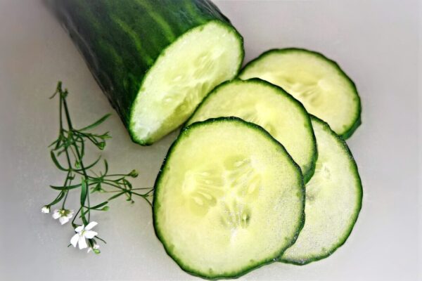 salatove okurky monika1607 cucumber 4314342 1280