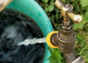 sneakyelbow allotment 2520218 1280