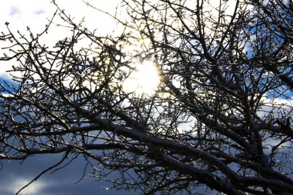 avadesign69 sun 3974912 1280