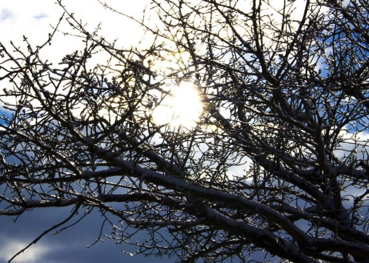 avadesign69 sun 3974912 1280