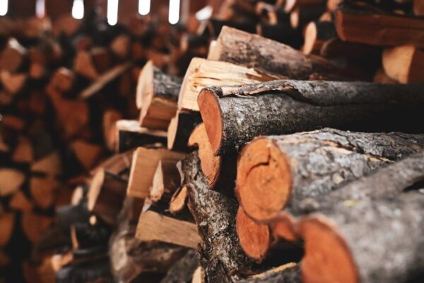 cecigre by 9827954 1280