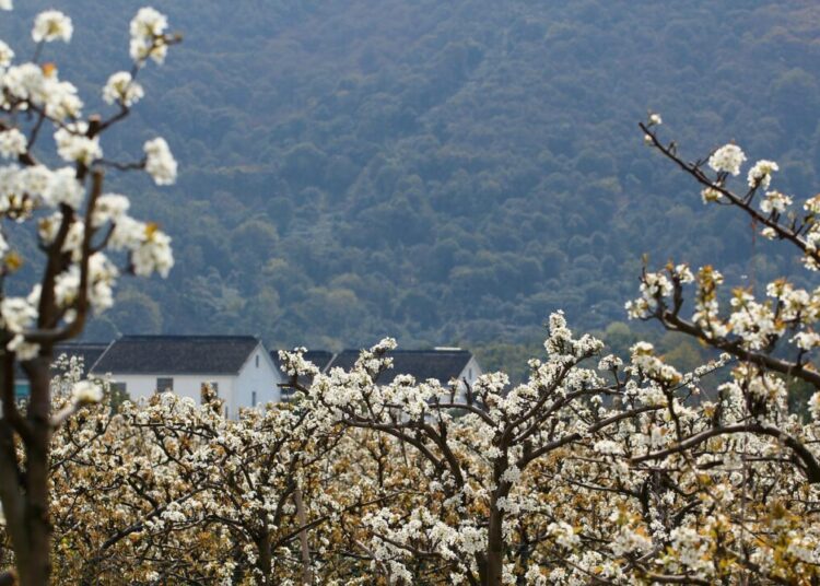 chuanming suzhou 4861219 1280