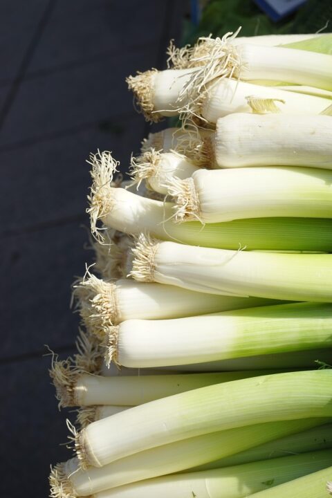 hans leek 318156 1280