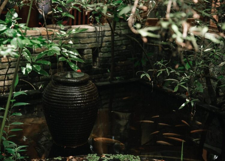 huyngan water basin 7376003 1280