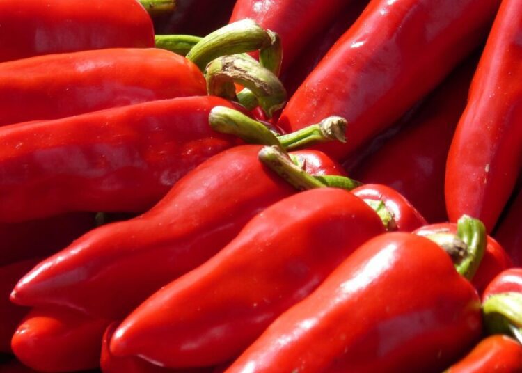 makamuki0 pepper 3703918 1280